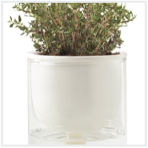 selfwateringplanter